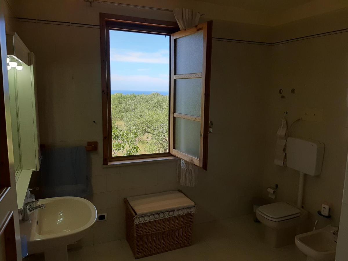 Casanonnavittoria Bed & Breakfast แตร์ราซีนี ภายนอก รูปภาพ